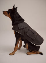 Driza-bone Ashfield Shepa Dog Coat