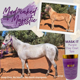 Mask It Purple Clay Mask Spa for Horses | Natural Coat Wash - Horse Queened