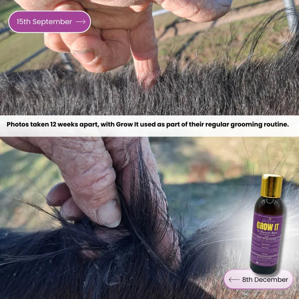 Grow It – The Regrowth Ritual | Leave-In Mane & Tail Serum - Horse Queened