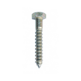 Coach Screws