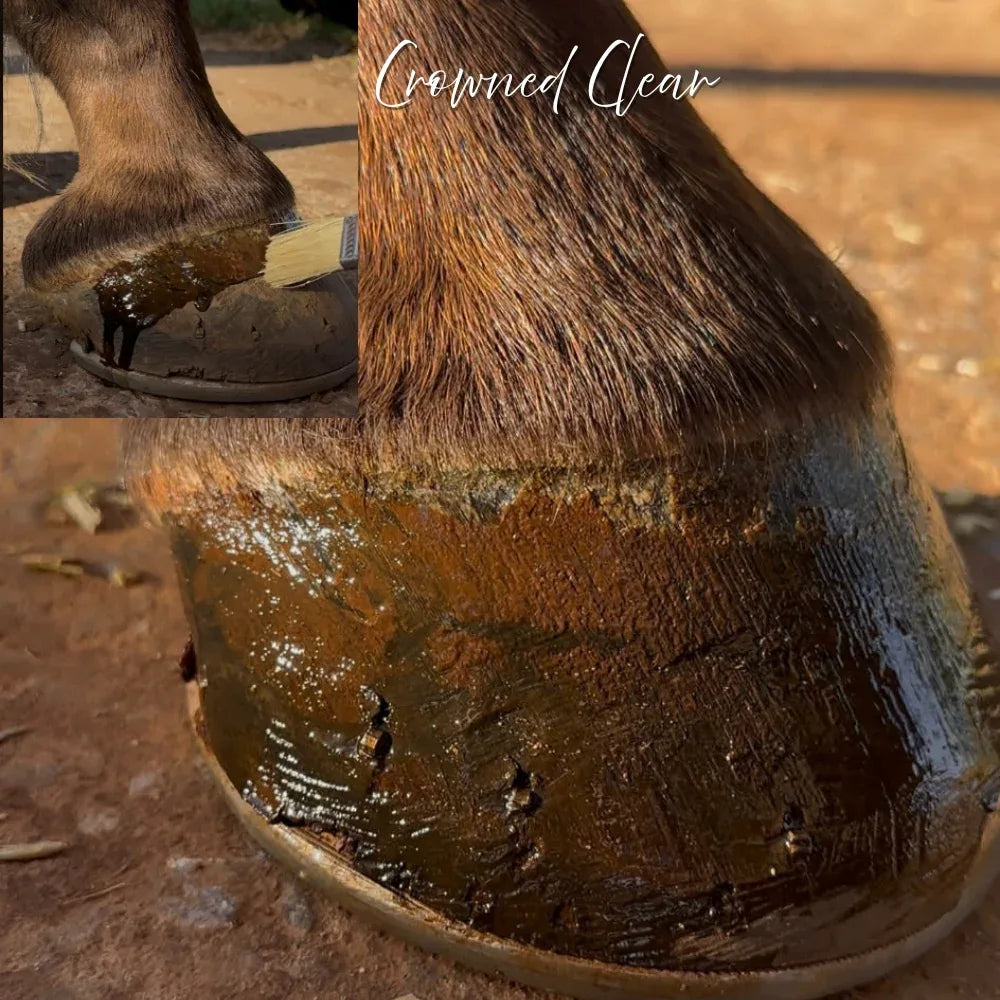Polish It – Hoof Royalty - Horse Queened