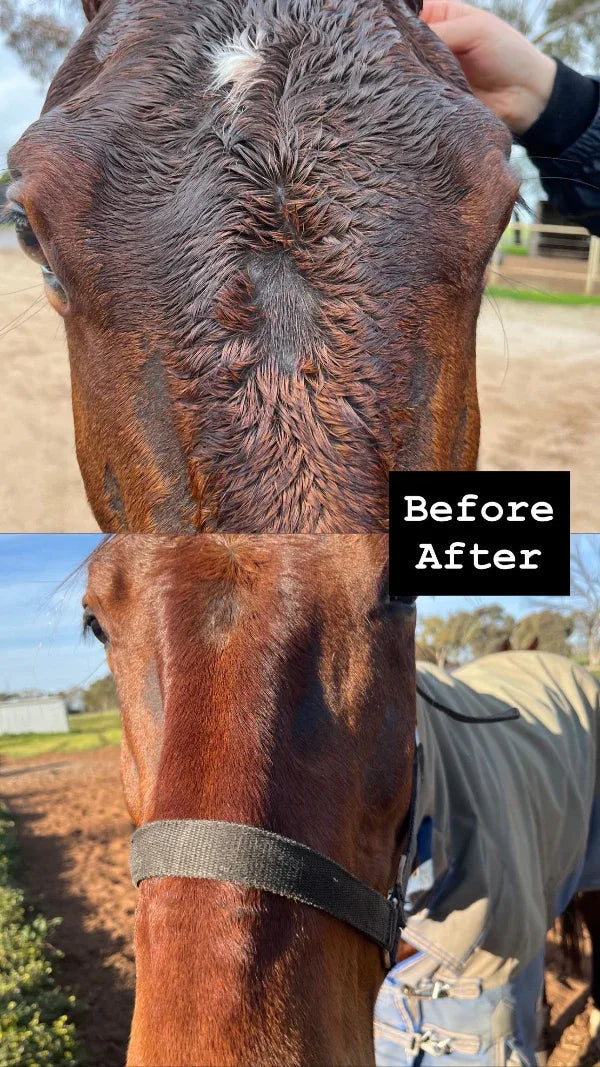 Soothe It – Purple Comfort Cream - Horse Queened