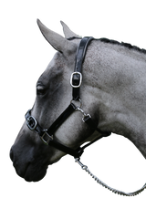 PATENT SILVER PIPE BLACK HALTER - Flexible Fit Equestrian Australia