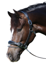 RAISED SILVER PIPE BLACK HALTER - Flexible Fit Equestrian Australia