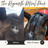Grow It – Horse Leave-In Mane & Tail Serum | The Regrowth Ritual