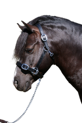 PLAIN FLAT STAINLESS STEEL BLACK HALTER - Flexible Fit Equestrian Australia