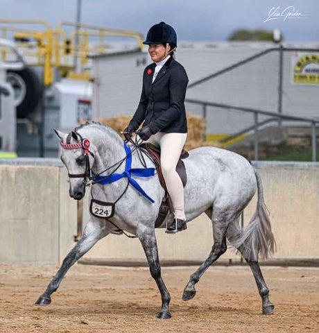 A woman in equestrian attire rides a gray horse in an outdoor riding arena. The rider wears a black jacket, white breeches, and a black helmet, while the horse is outfitted with a bridle and blue girth straps. Hooves are painted with black Tie polish it 