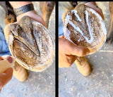 Hoof Rescue Pack – Clean, Conditioned Hooves, Every Day - Horse Queened