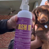 🐶 DOGGY Swash It – Spray, Rub, Done - Horse Queened
