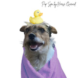 🐶 Poppy Rinse- Softening Dog Conditioner - Horse Queened