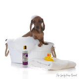 🐶 Frankie Suds- Gentle Dog Shampoo - Horse Queened