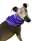 Horse Queened™ Winter Neck Gaiter - Horse Queened