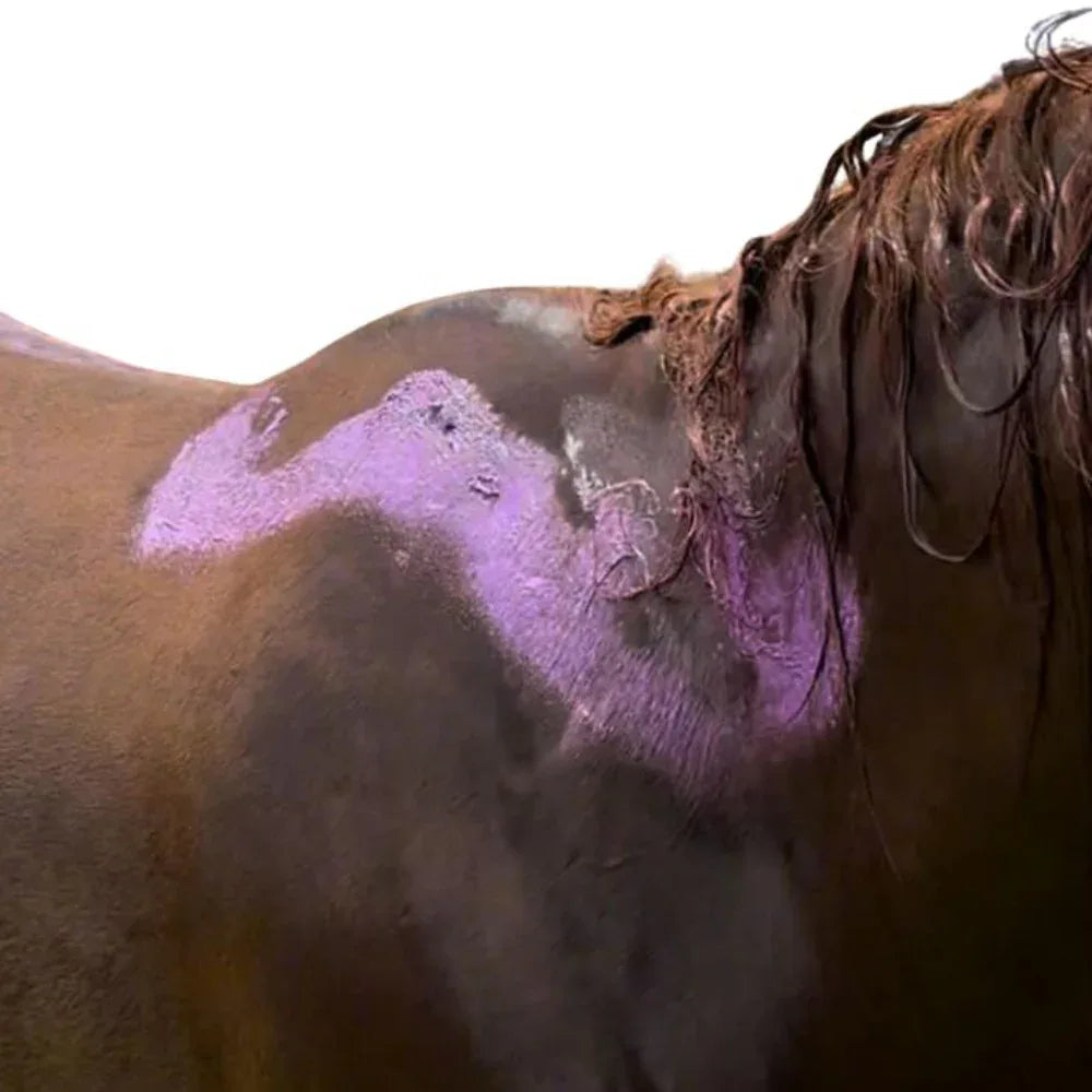 Mask It Purple Clay Mask Spa for Horses | Natural Coat Wash - Horse Queened