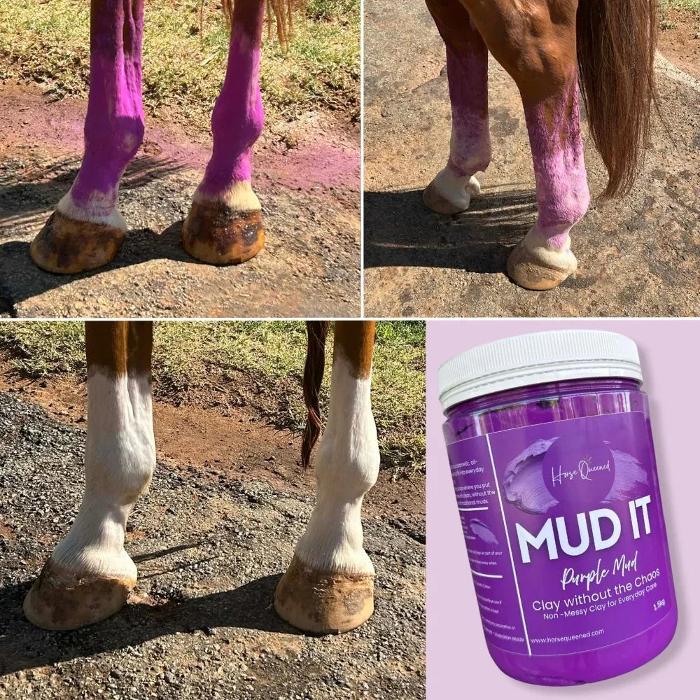 Mud It – Purple Clay for Horses | Clay Without the Chaos - Horse Queened