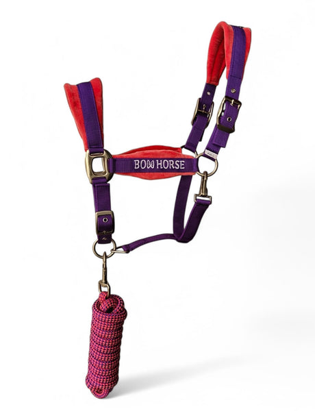 Premium Horse Halter and Lead - Purple