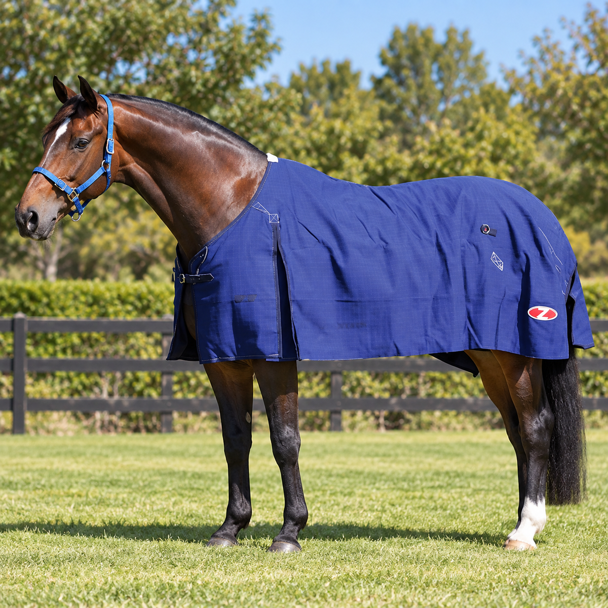 Zilco Blue Mountain Rug