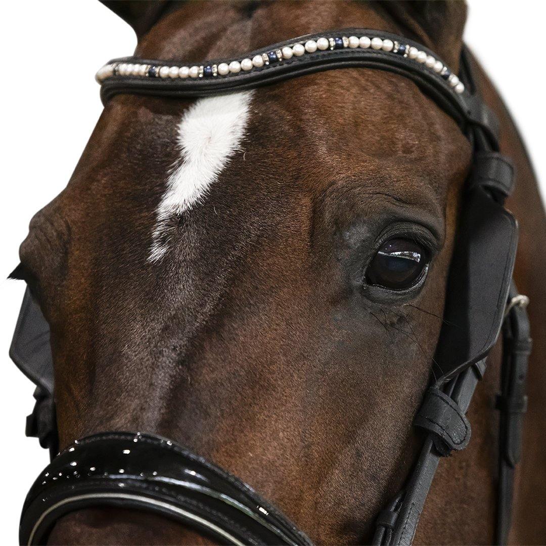 Blinkers - Havana - Flexible Fit Equestrian Australia