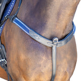 AR Multi-Fit Breastplate