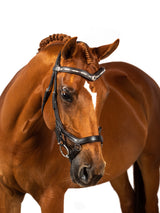 Premium Havana Comfort Bridle 'Ventura'