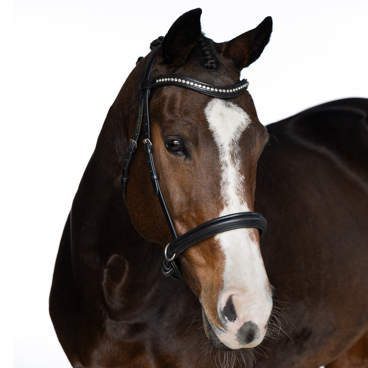BRI016 Black Gel Bitless Bridle
