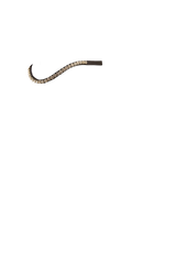 Single Row Crystal Deep Wave - Havana Browband