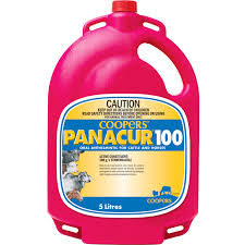 Coopers Panacur 100