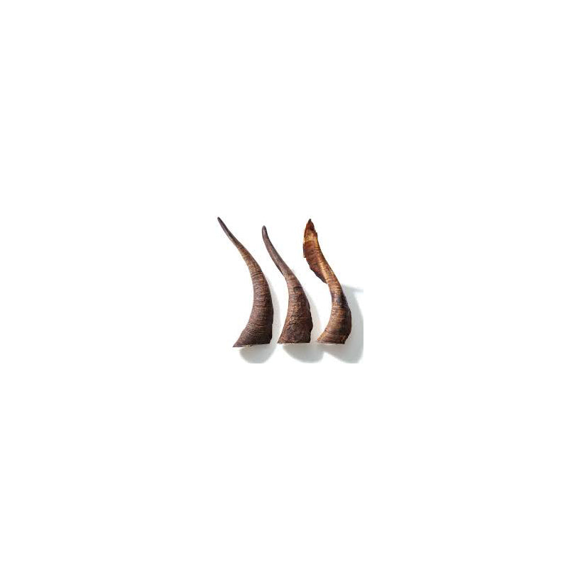 Bark & Beyond Goat Horns