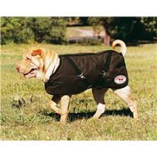 Thermo Master Oilskin Dog Coat