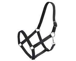 Econo Stable Halter Navy Blue