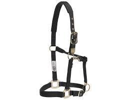 Gg Aust Deluxe Nylon Halter Black