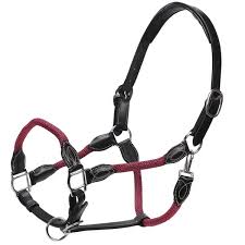 Jeremy & Lord Leather-rope Halt Black & Burgundy