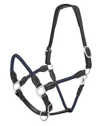 Jeremy & Lord Leather-rope Halt Black & Navy