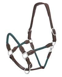 Jeremy & Lord Leather-rope Halt Brown & Green