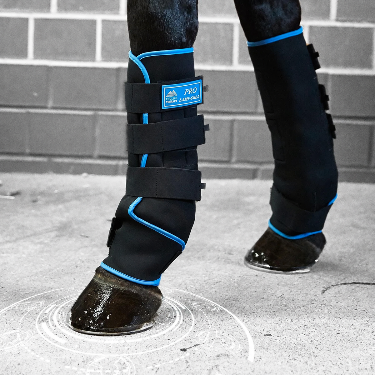 Lami-Cell Pro Ice Boots