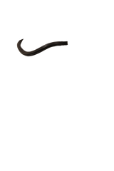 THIN RAISED WAVE - HAVANA BROWBAND
