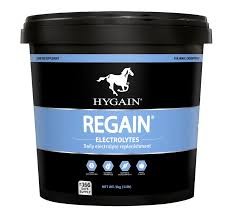 Hygain Regain