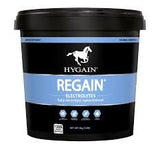 Hygain Regain