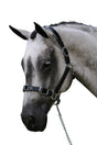 Patent Silver Pipe Black - Leather Horse Halter