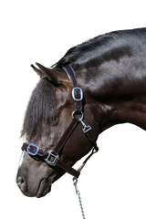 PATENT SILVER PIPE HAVANA HALTER - Flexible Fit Equestrian Australia