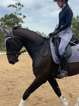 Peter Williams Riding Apparel Ladies Riding Tights - Lavender