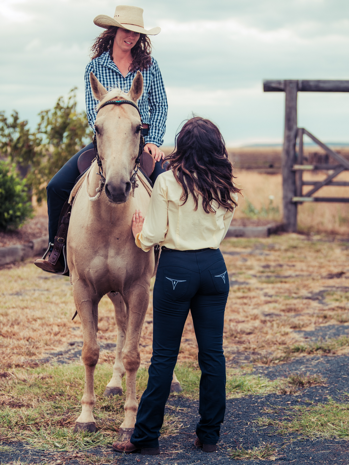Navy western riding jeans designed for stock horse and rodeo wear