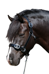PLAIN FLAT STAINLESS STEEL BLACK HALTER - Flexible Fit Equestrian Australia