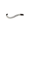 PRINCESS WAVE - HAVANA BROWBAND - Flexible Fit Equestrian Australia