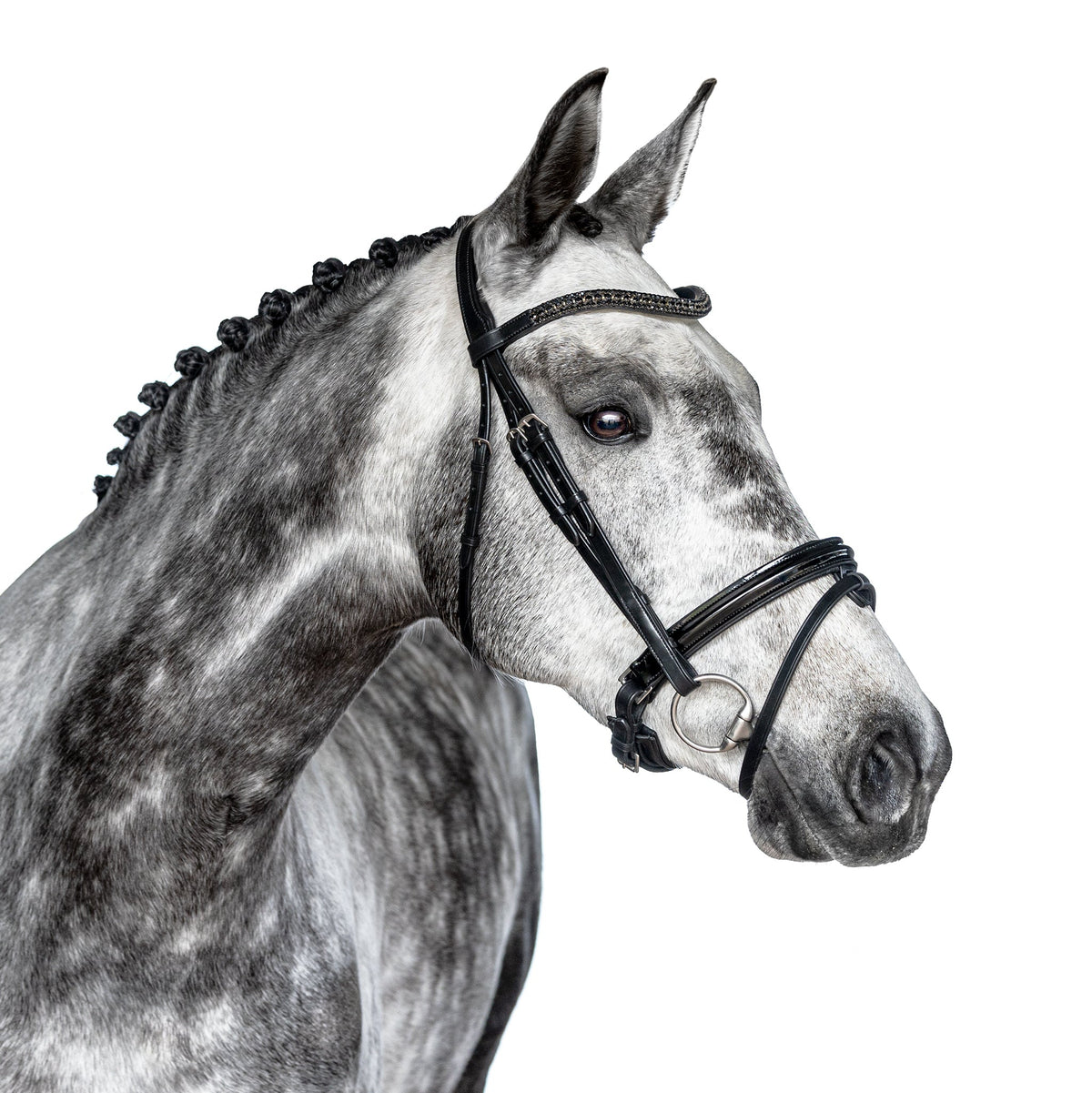 Black snaffle bridle Vogue - Horse Bridle